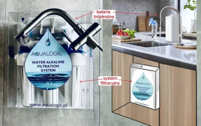 Proces alkalizacji i mineralizacji wody w systemie filtracyjnym…